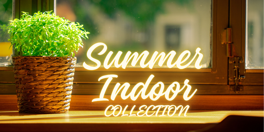 Summer Indoor Combo 15mlx4 | Blend745 Extrait Perfumes